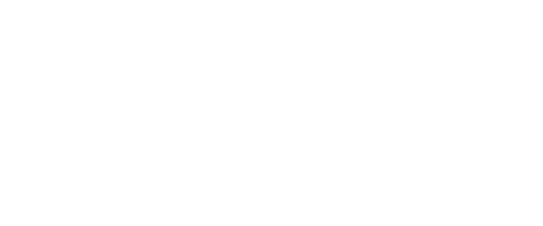 Merlin-logo-weiß